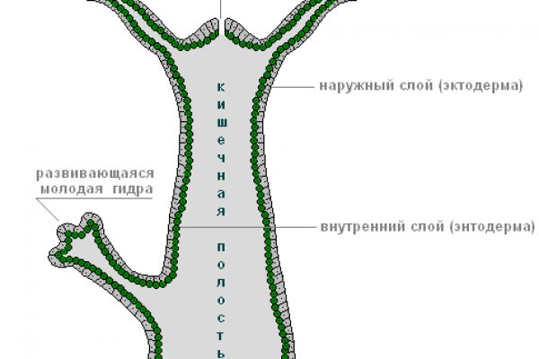 Гидра зеркало официальный