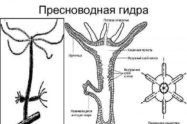 Ссылка на кракен даркнет